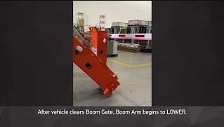 Video image